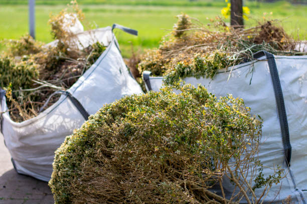 Best Basement Cleanout Services  in Gassville, AR